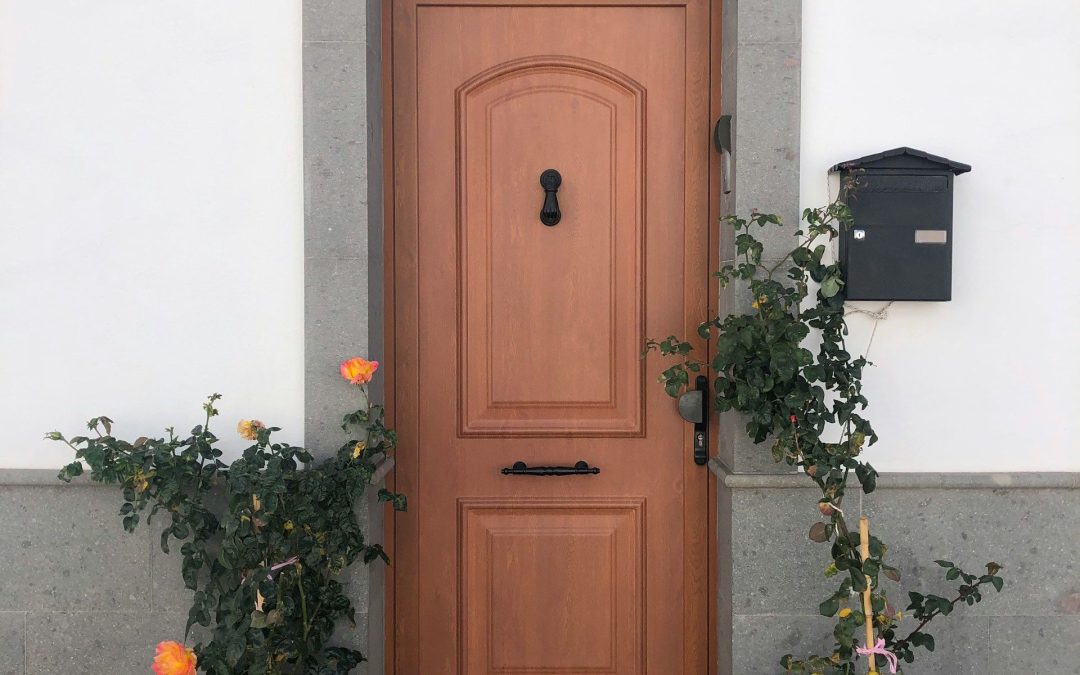 Front Doors For Townhouses And Small Sites